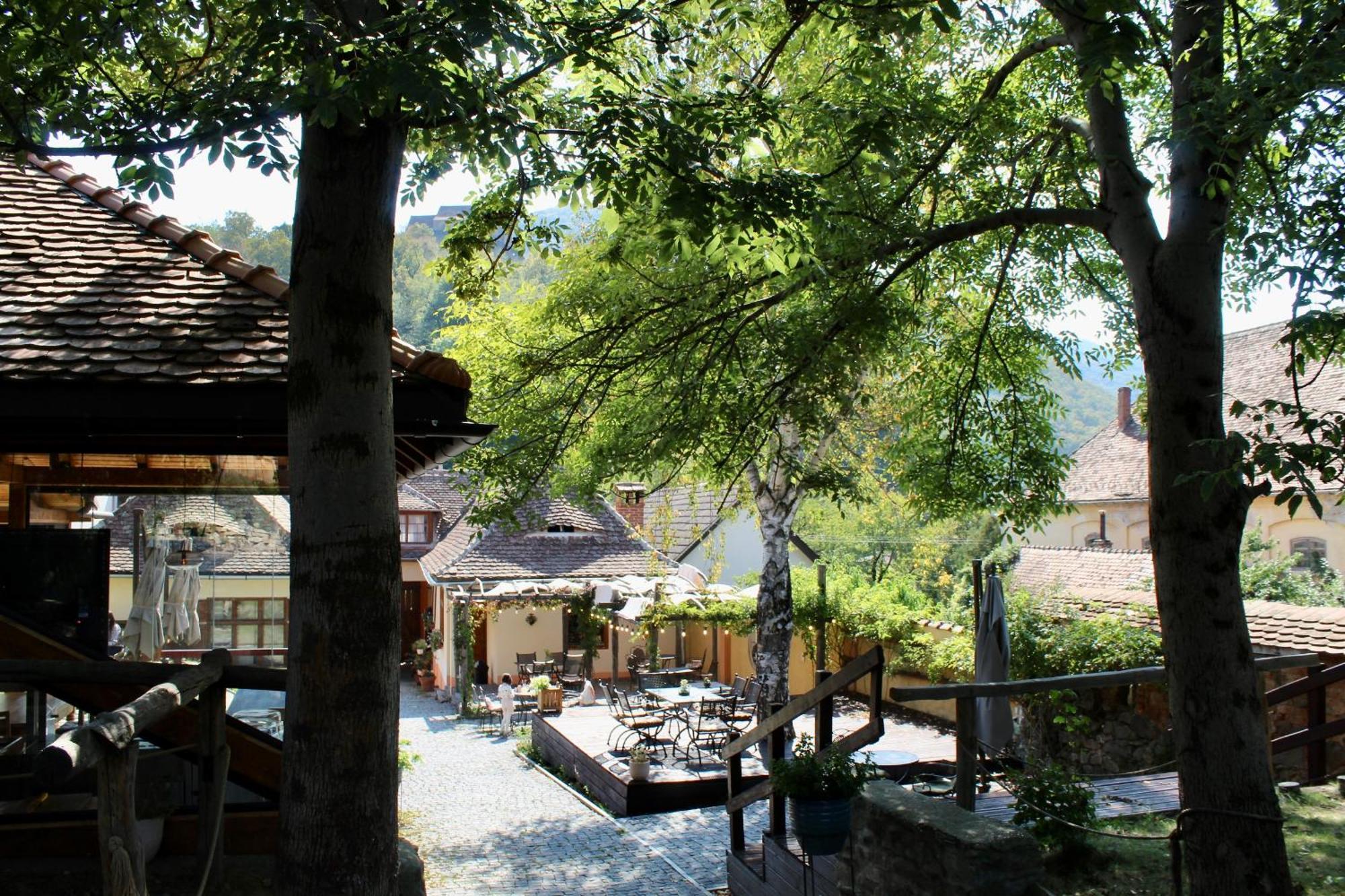 Pensiunea Agora Cisnădioara Esterno foto