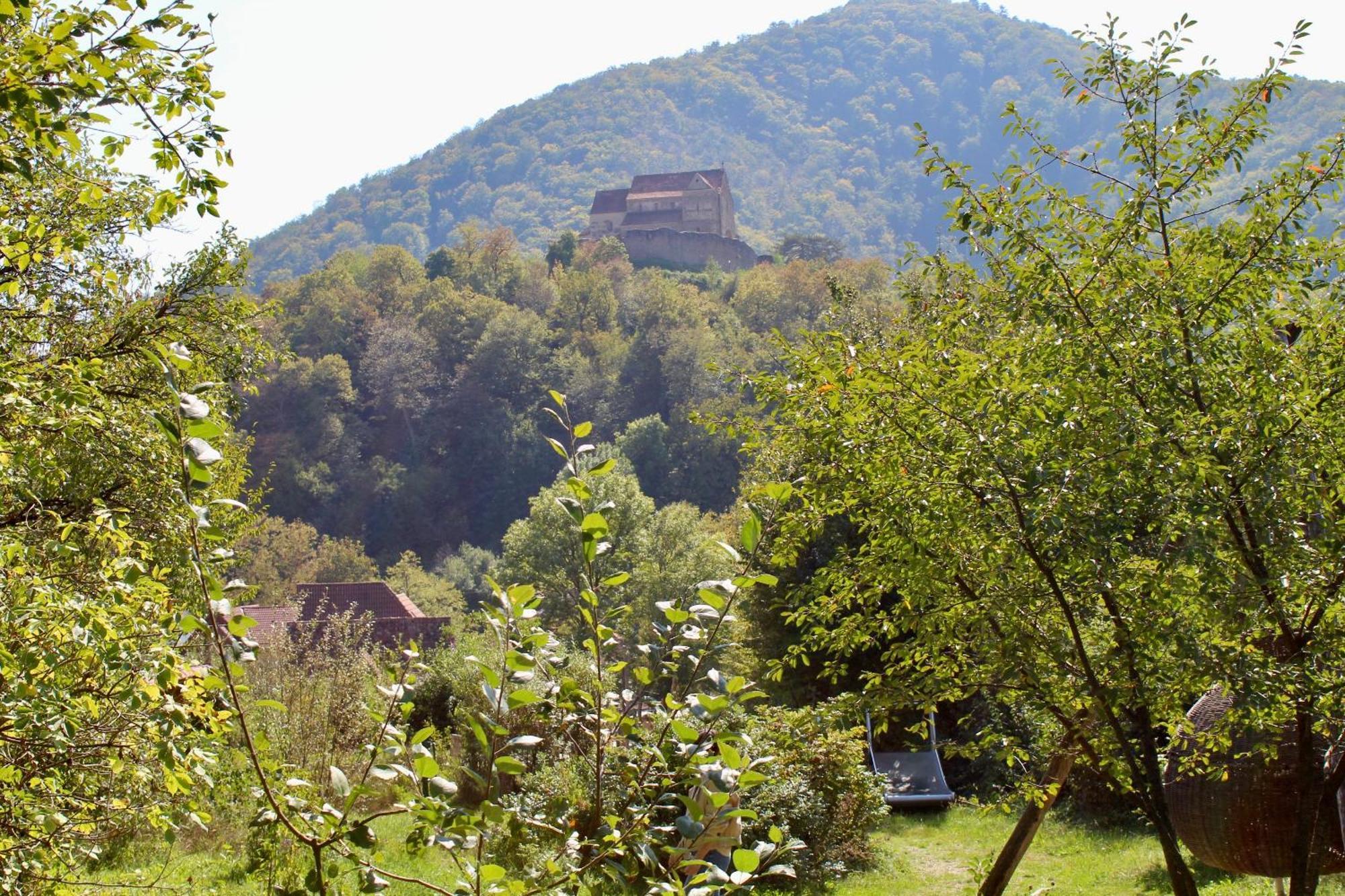 Pensiunea Agora Cisnădioara Esterno foto